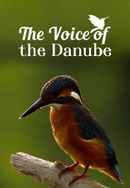 The Voice of the Danube Poster 6