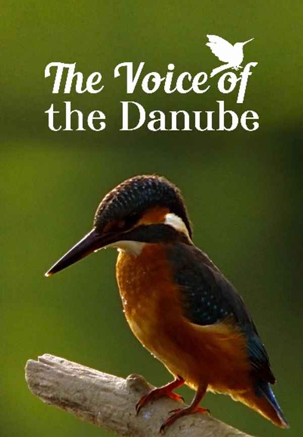 The Voice of the Danube Poster 6