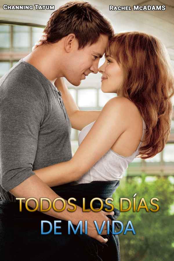 The Vow Poster 6