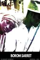 The Wagoner Poster 6