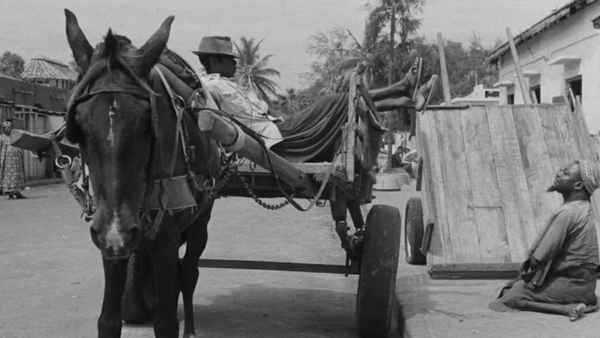 The Wagoner Poster 1