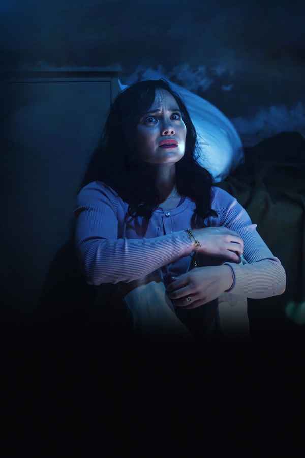 The Walls Are Watching Poster 4