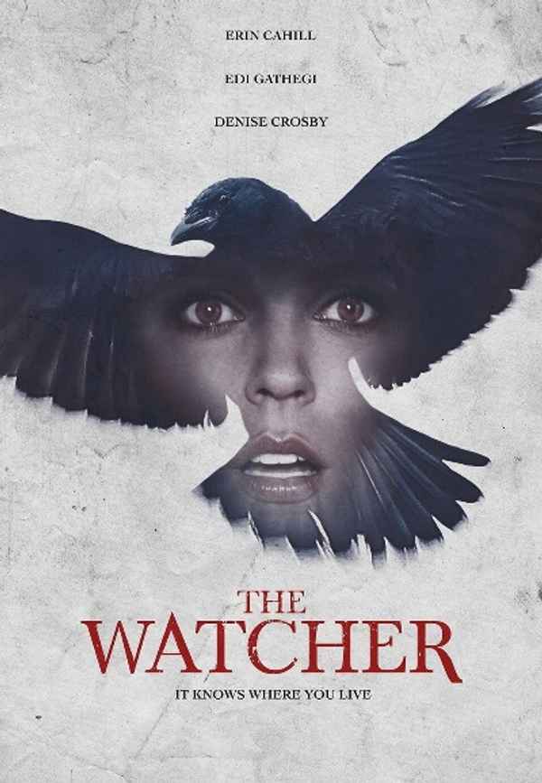 The Watcher Poster 6