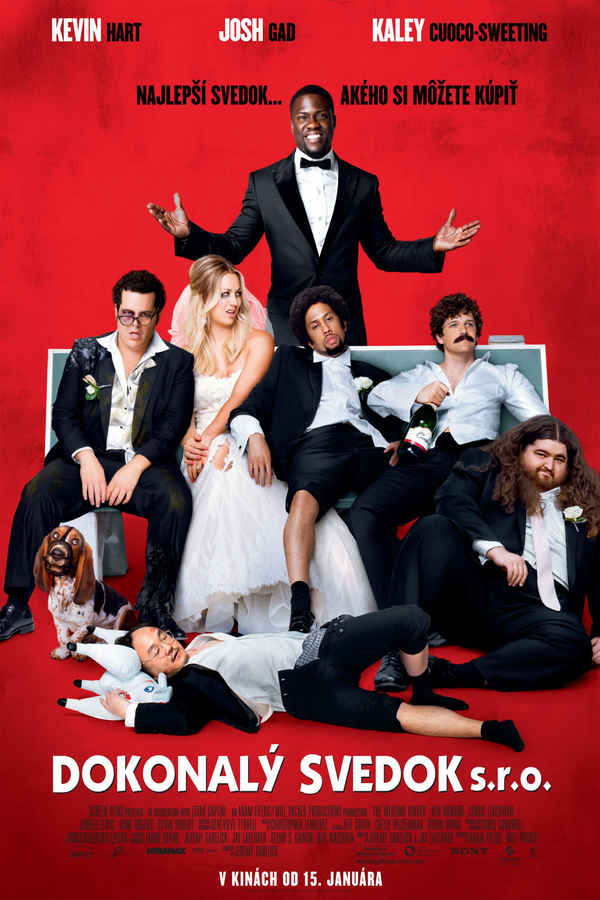 The Wedding Ringer Poster 7