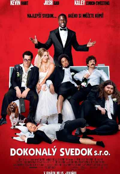 The Wedding Ringer