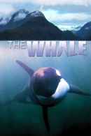 The Whale Poster 4