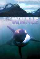 The Whale Poster 5