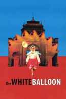 The White Balloon Poster 7