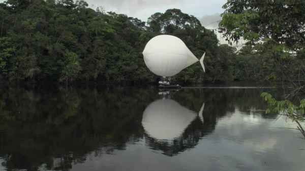 The White Diamond Poster 1