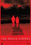The White Stripes: Under Great White Northern Lights Poster 6