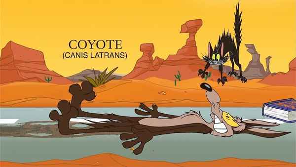 The Whizzard of Ow Poster 1