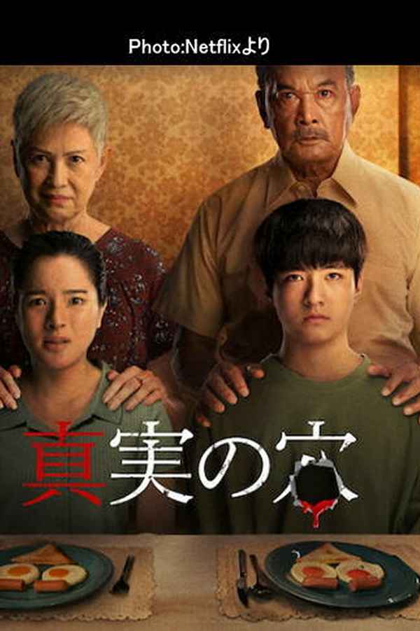 The Whole Truth Poster 4