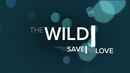 The Wild Poster 1
