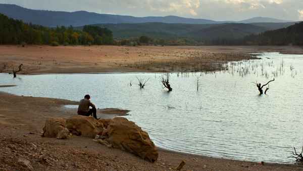 The Wild Pear Tree Poster 7