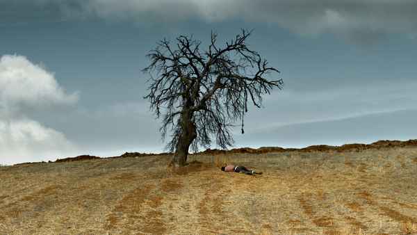 The Wild Pear Tree Poster 3