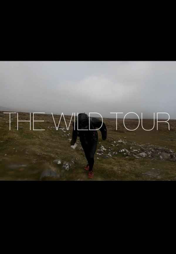 The Wild Tour Poster 2