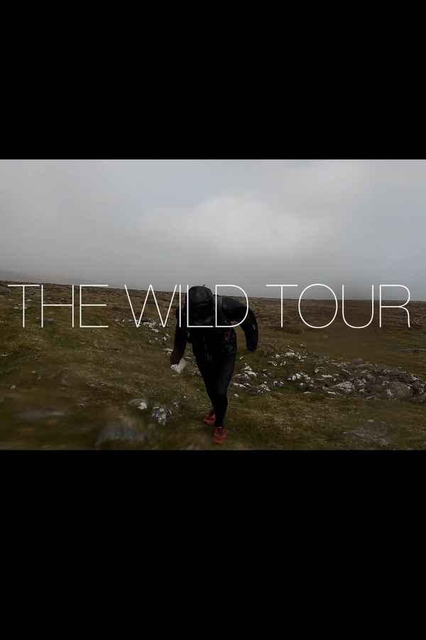 The Wild Tour Poster 1