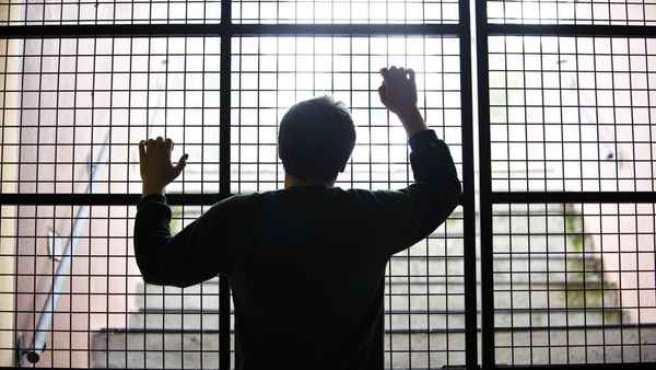 The Wilding Poster 3