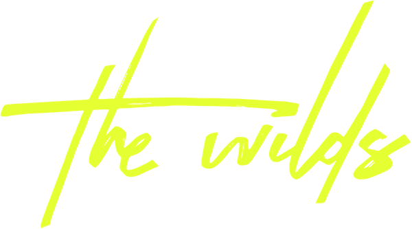 The Wilds Poster 3