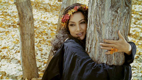 The Wishing Tree Poster 1