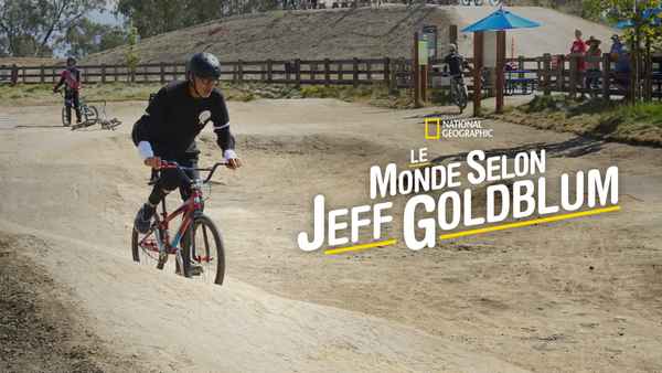 The World According to Jeff Goldblum Poster 1