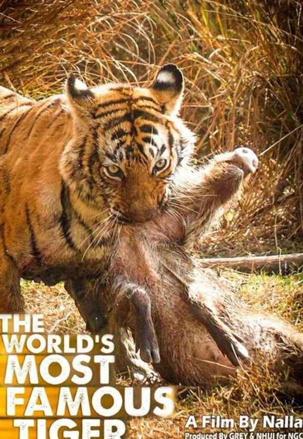 The World's Most Famous Tiger Poster 3