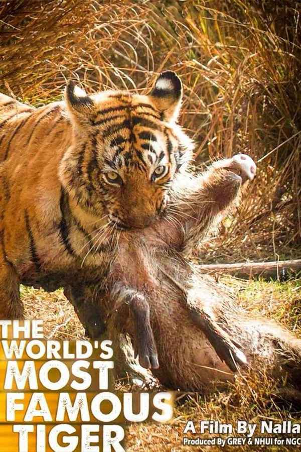 The World's Most Famous Tiger Poster 2