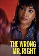 The Wrong Mr. Right Poster 3