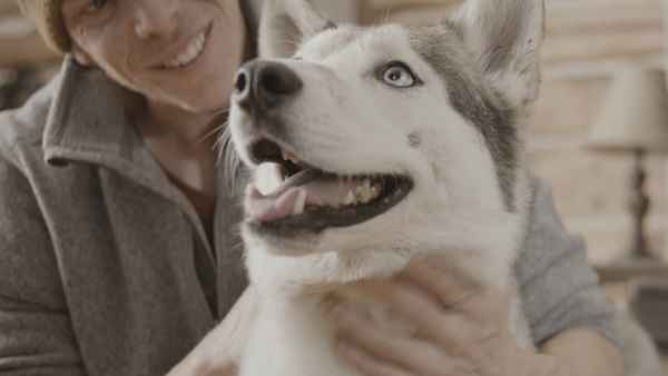 The Year of the Dog Poster 5