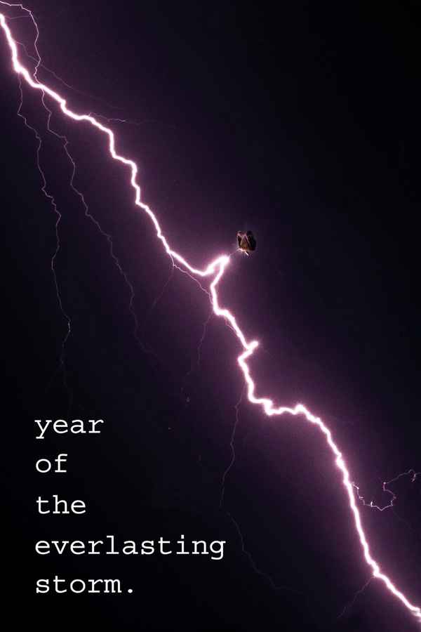 The Year of the Everlasting Storm Poster 4