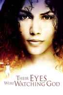 Their Eyes Were Watching God Poster 2