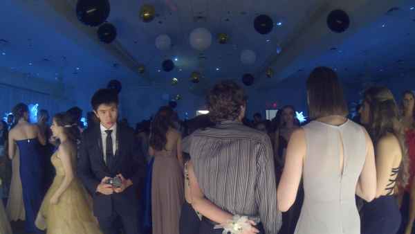 Therapy Dogs Poster 1