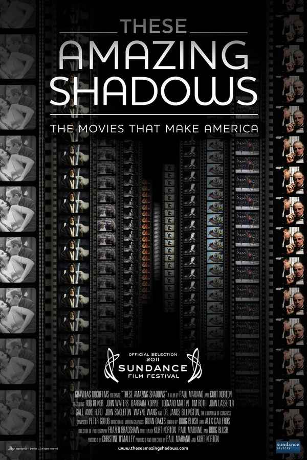 These Amazing Shadows Poster 3