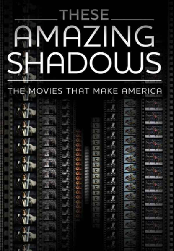 These Amazing Shadows Poster 4