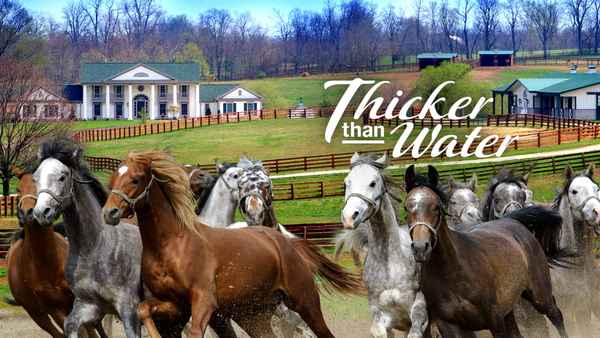 Thicker Than Water Poster 1