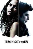Things We Lost in the Fire Poster 1