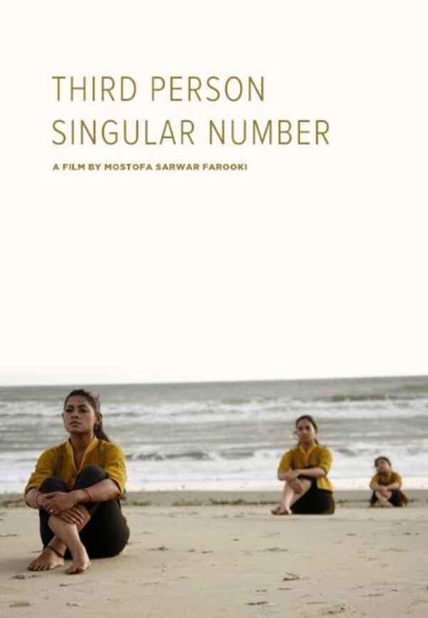 Third Person Singular Number Poster 3