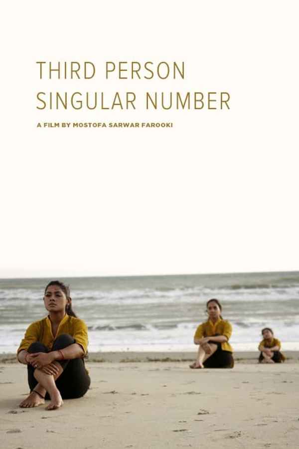 Third Person Singular Number Poster 2