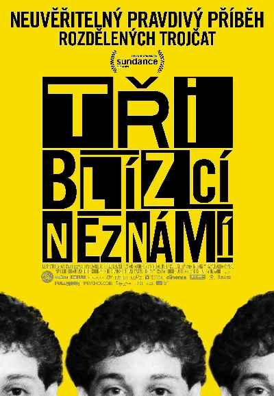 Three Identical Strangers