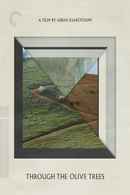 Through the Olive Trees Poster 6