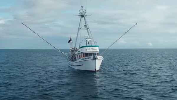 Thunderbird Poster 5