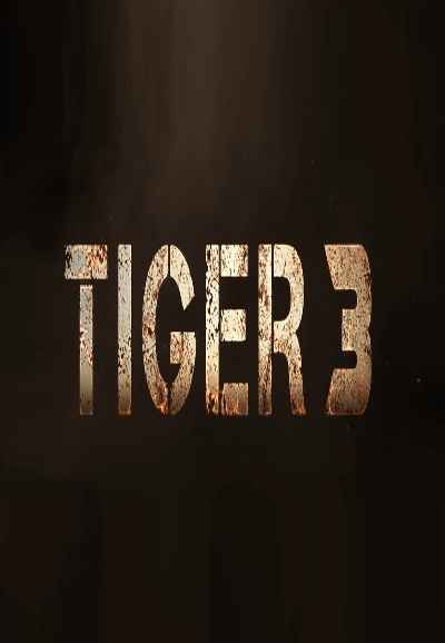 Tiger 3 (टाइगर 3)