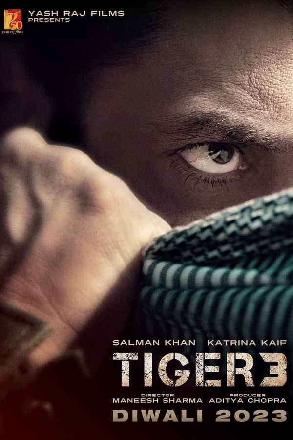 Tiger 3 (टाइगर 3) Poster 7