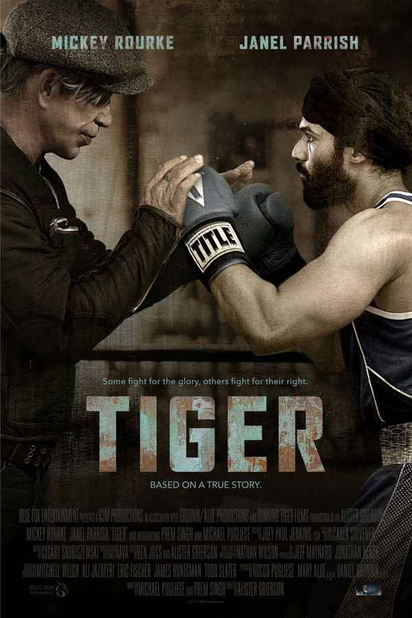 Tiger Poster 6