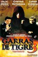 Tiger Claws III: The Final Conflict Poster 4