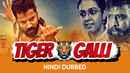 Tiger Galli Poster 2