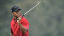 Tiger Woods: Icon Poster 2
