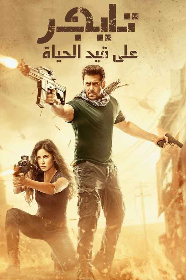 Tiger Zinda Hai Poster 5