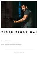 Tiger Zinda Hai Poster 4