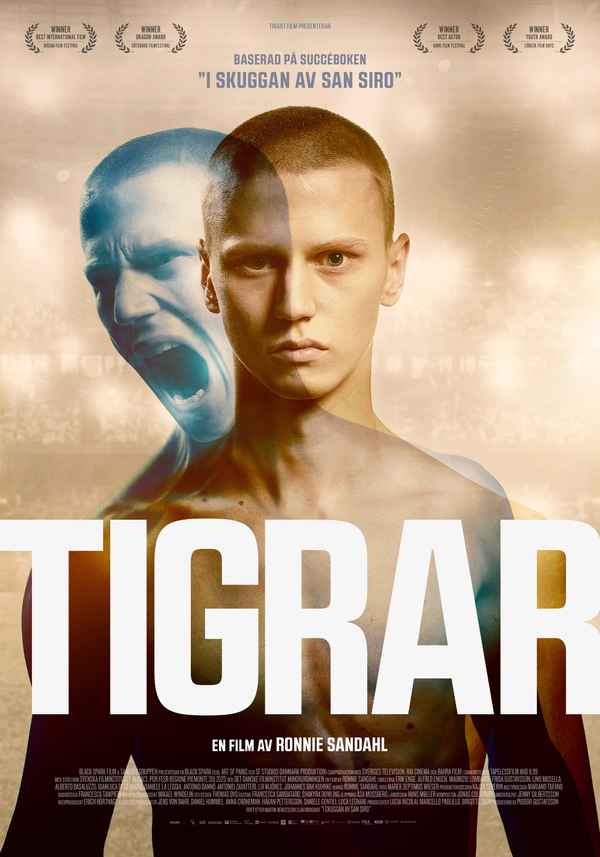 Tigers Poster 3